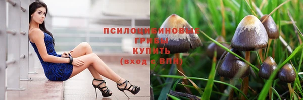 apvp Волоколамск