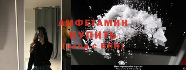 амф Верхний Тагил