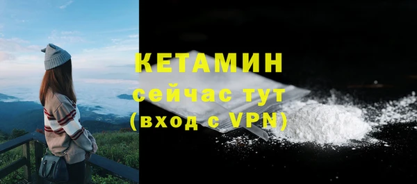 амф Верхний Тагил