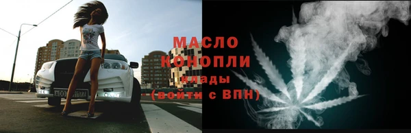амф Верхний Тагил