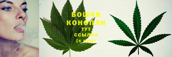 амф Верхний Тагил