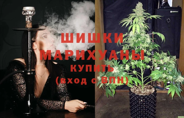 амф Верхний Тагил