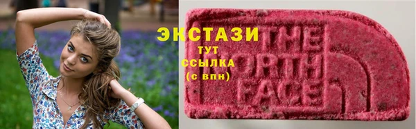 амф Верхний Тагил