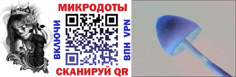 продажа наркотиков Дубовка Галлюциногенные грибы мухоморы